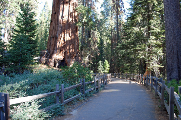 general grant tree trail map