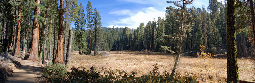 Crescent Meadow, Sequoia National Park, CA