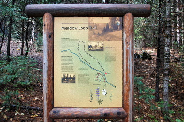 Sign for Meadow Loop Trail, Wawona, Yosemite National Park