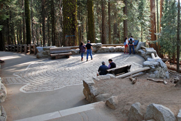General Sherman Tree trail, Sequoia National Park, California