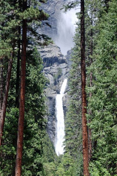 Lower Yosemite Falls,  Yosemite National Park
