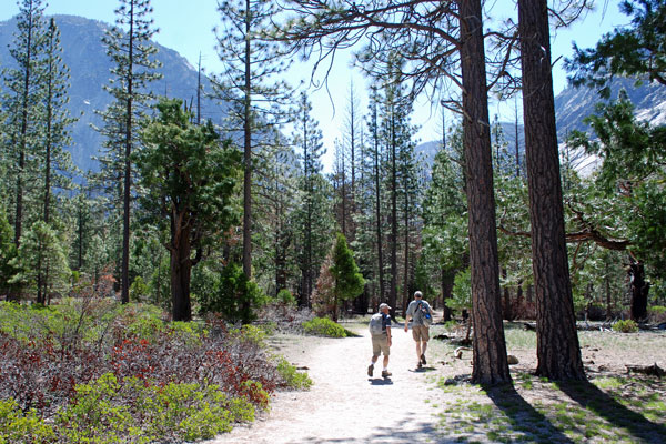 hikers on trail to Mist Falls, Kings Canyon National Park