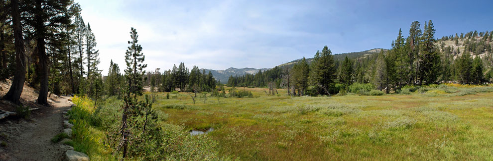Tahoe Meadows, North Lake Tahoe, Nevada