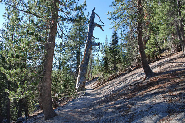 Mineret Falls Trail, Devils Postpile National Monument, California