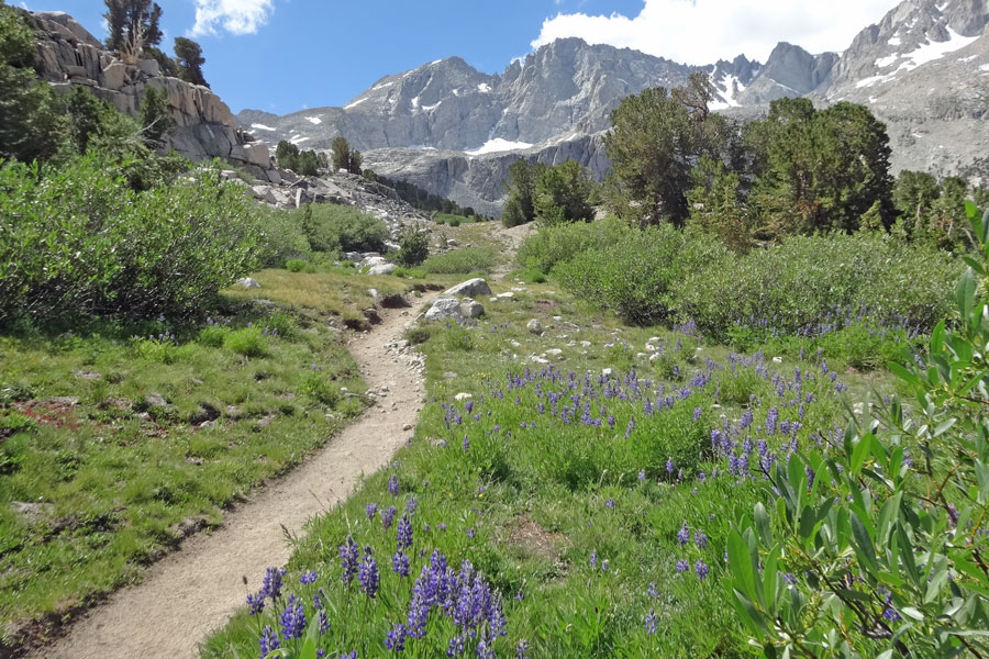 trail in Kings Canyon National Park, Caifornia